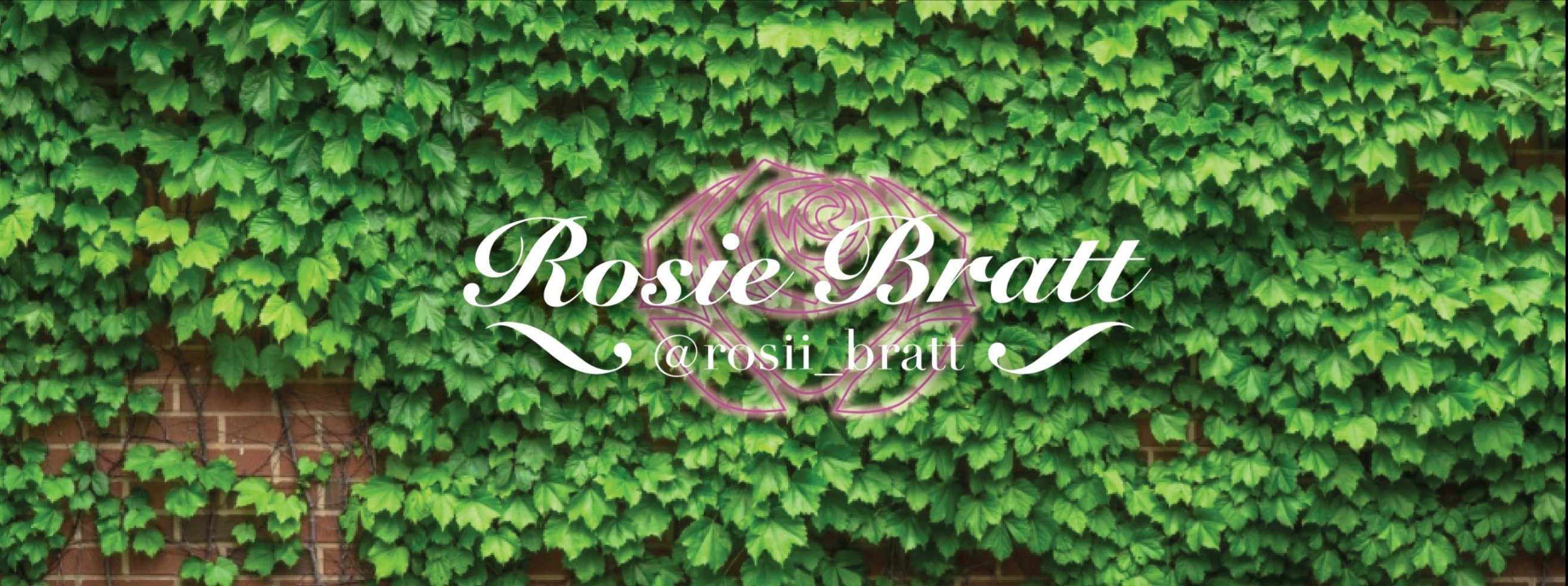 Rosie Bratt banner image