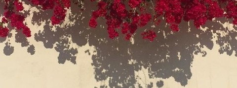 Rousey soul cover image