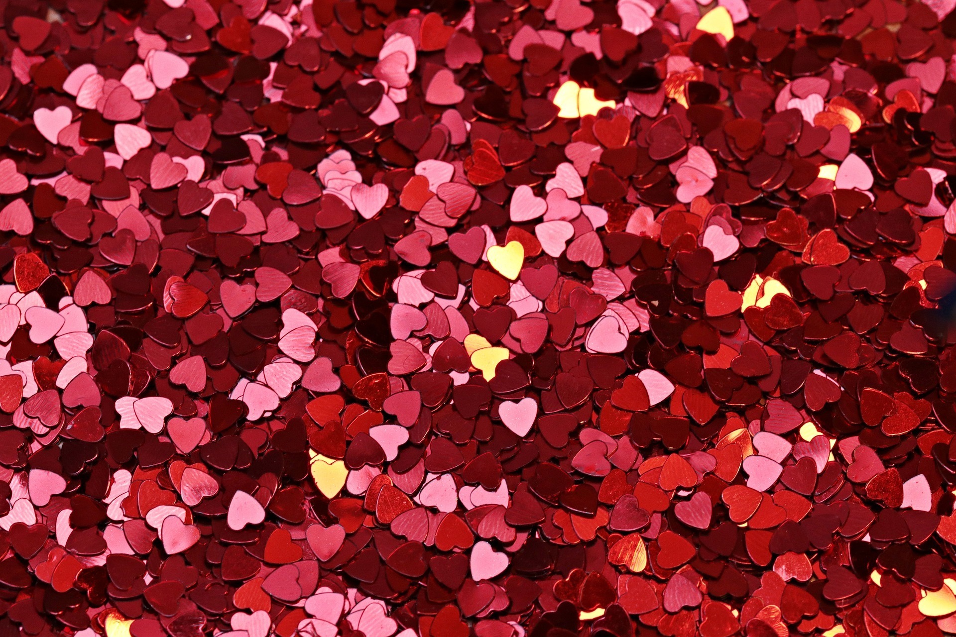 Rox_su banner image