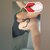 @hiddenbrazilvibes avatar