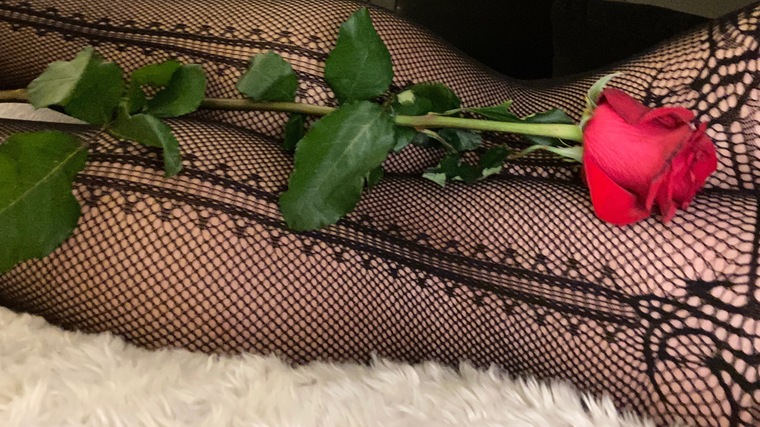 Roxie banner image