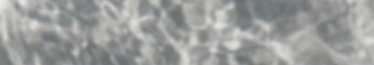 Roxie Rodriguez banner image