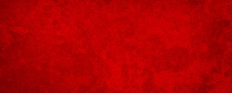 Roxy Angel banner image