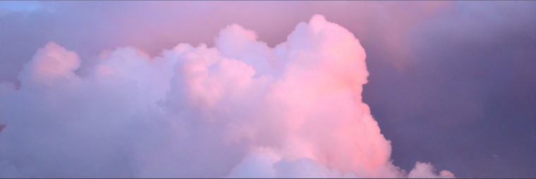 roxy alice 🍒☁️ cover image