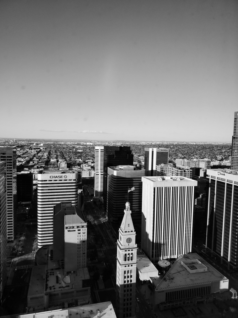 Royalty Z1109 banner image