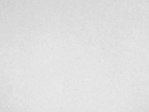 Robson cover image