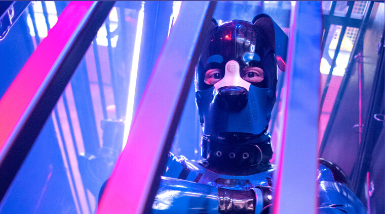 _Rubberhund cover image