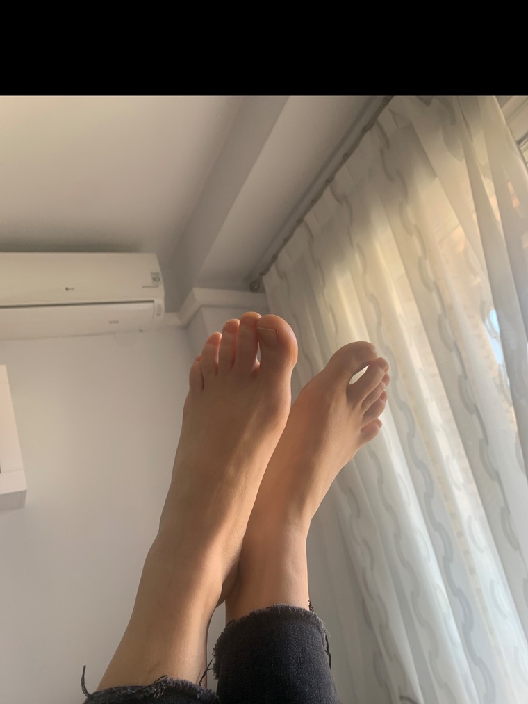 sandra cover image