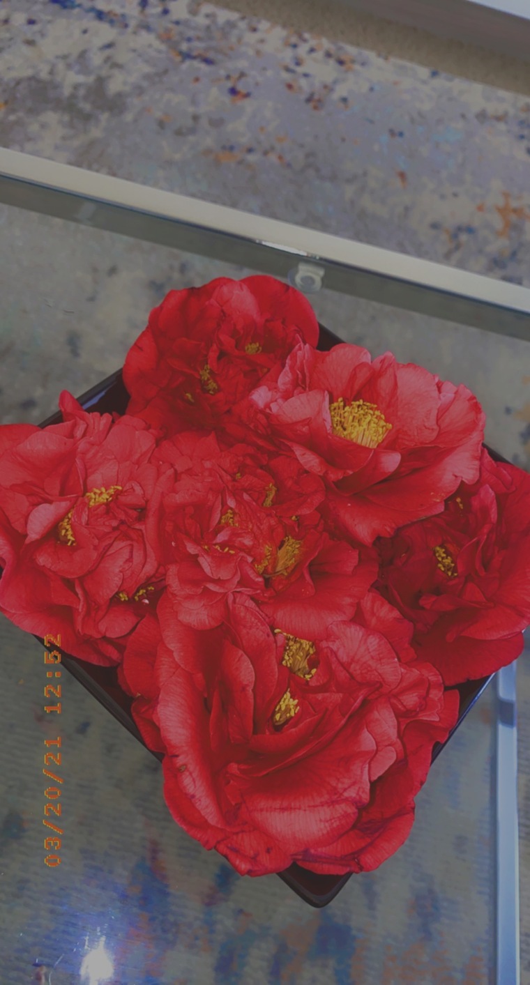 Koko Butter banner image