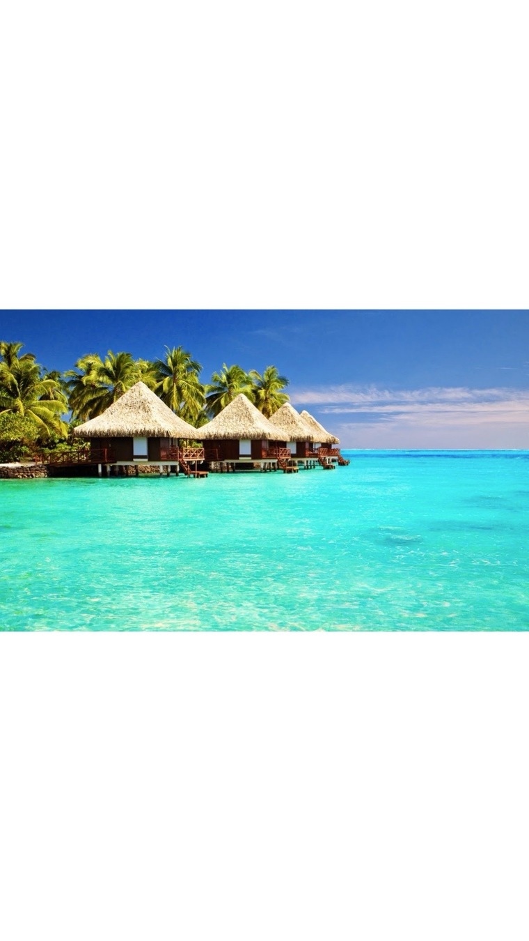 Caribbean Goddess banner image