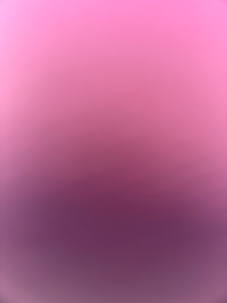 Rum banner image