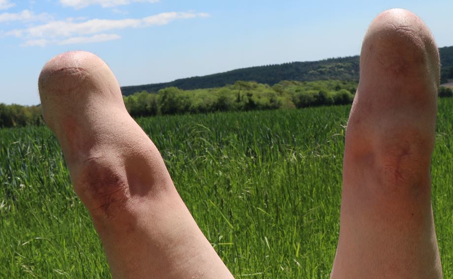 RumpyStumpy banner image