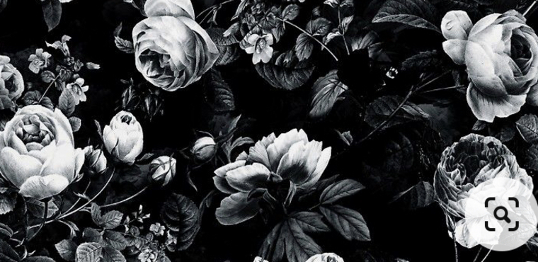 Rosie cover image