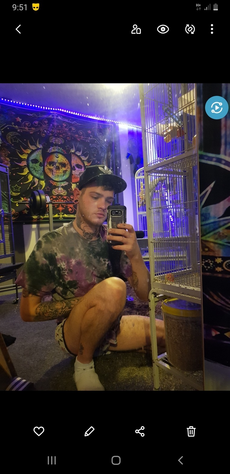 Gee cover image