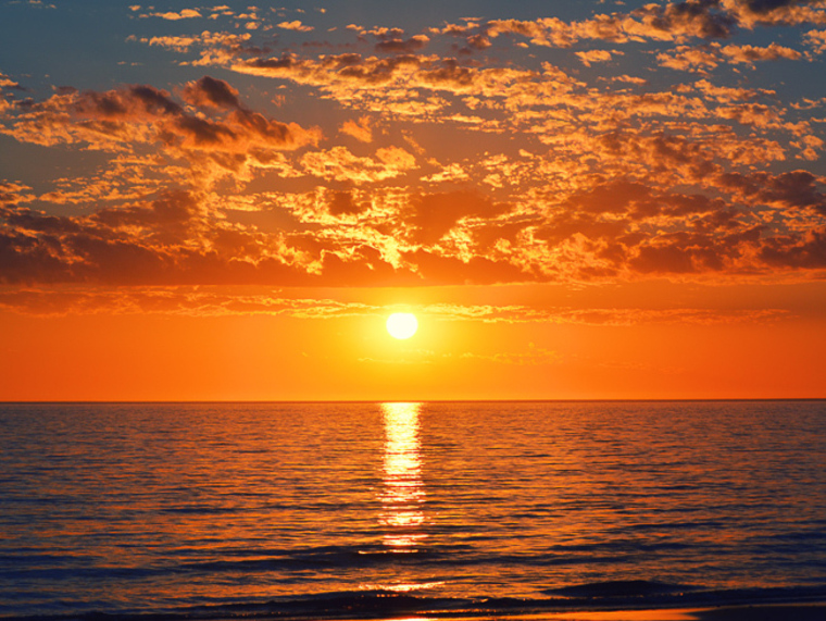 u39865523 cover image