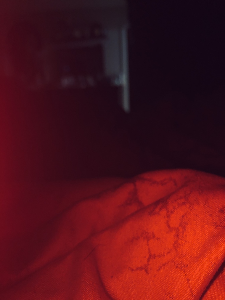 Ryann Wetters banner image