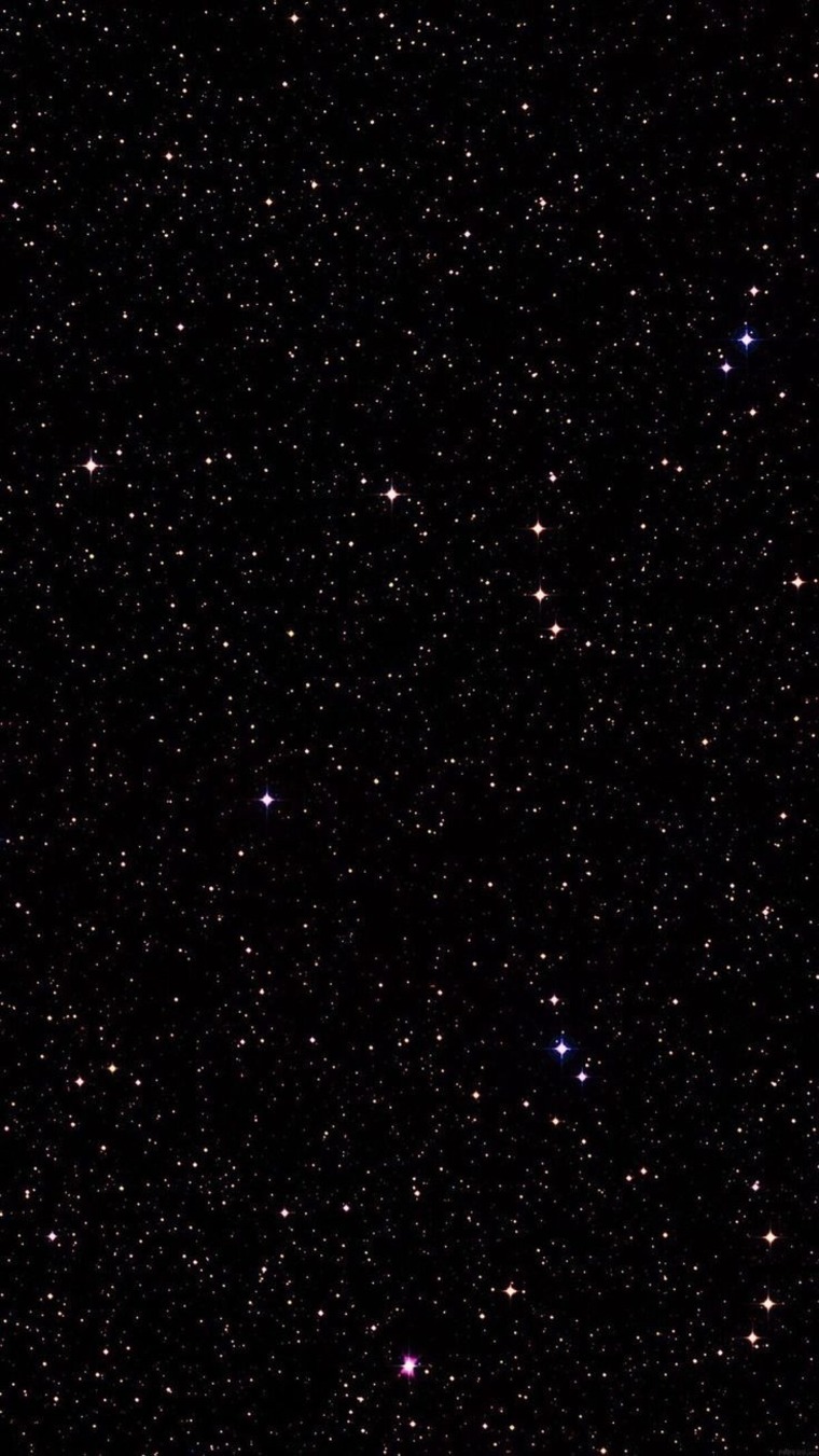 𝐃𝐨𝐥𝐥𝐲𝐛𝐮 cover image