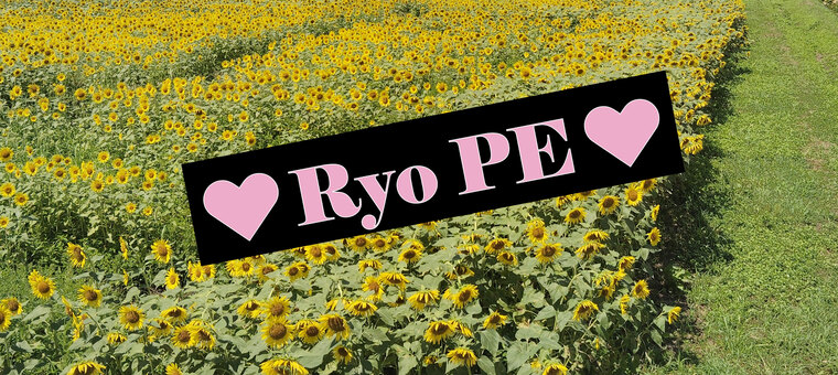 Ryo PE cover image