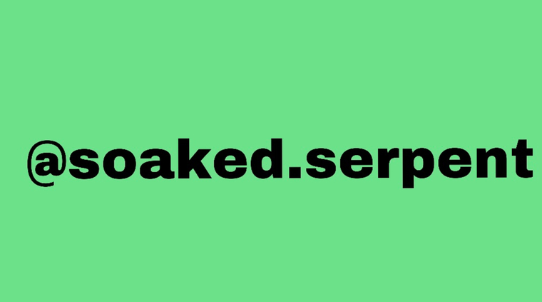 Sage Serpent banner image