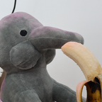 s1uttyelephant420 avatar
