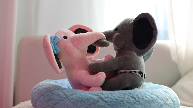 s1uttyelephant420 cover image