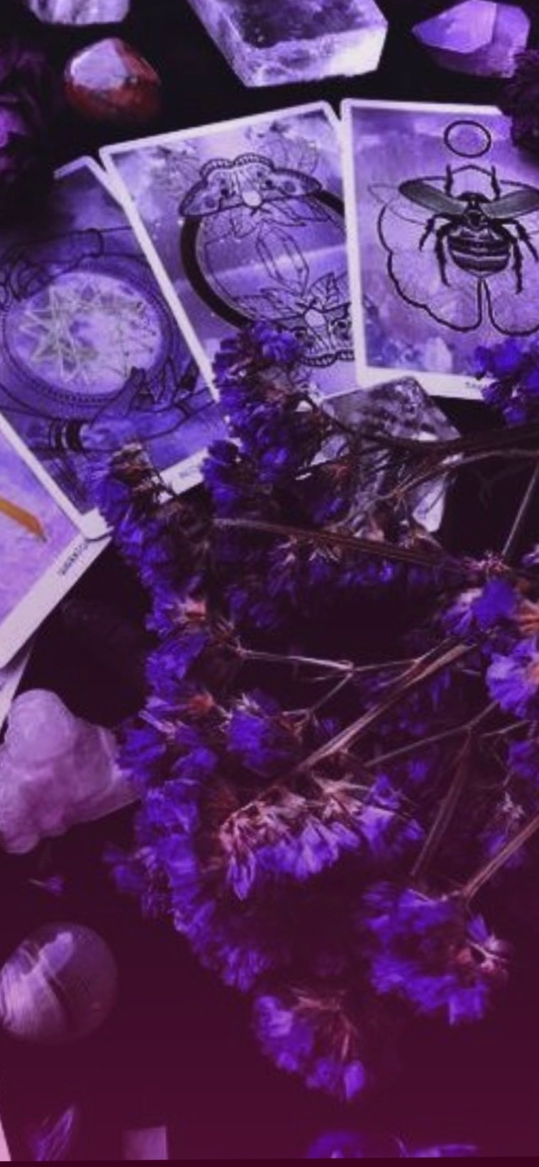 Spoiled Little Bratz banner image