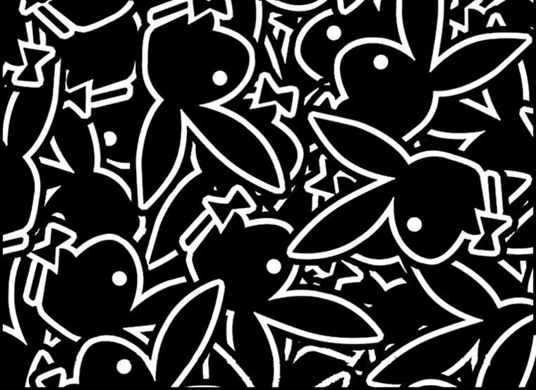 S banner image