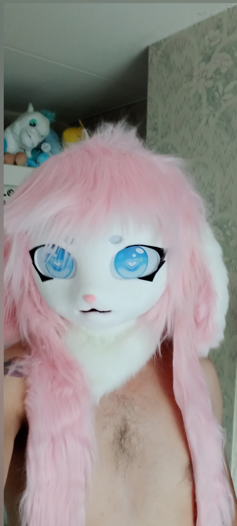 SabbyBunnyrabbit cover image