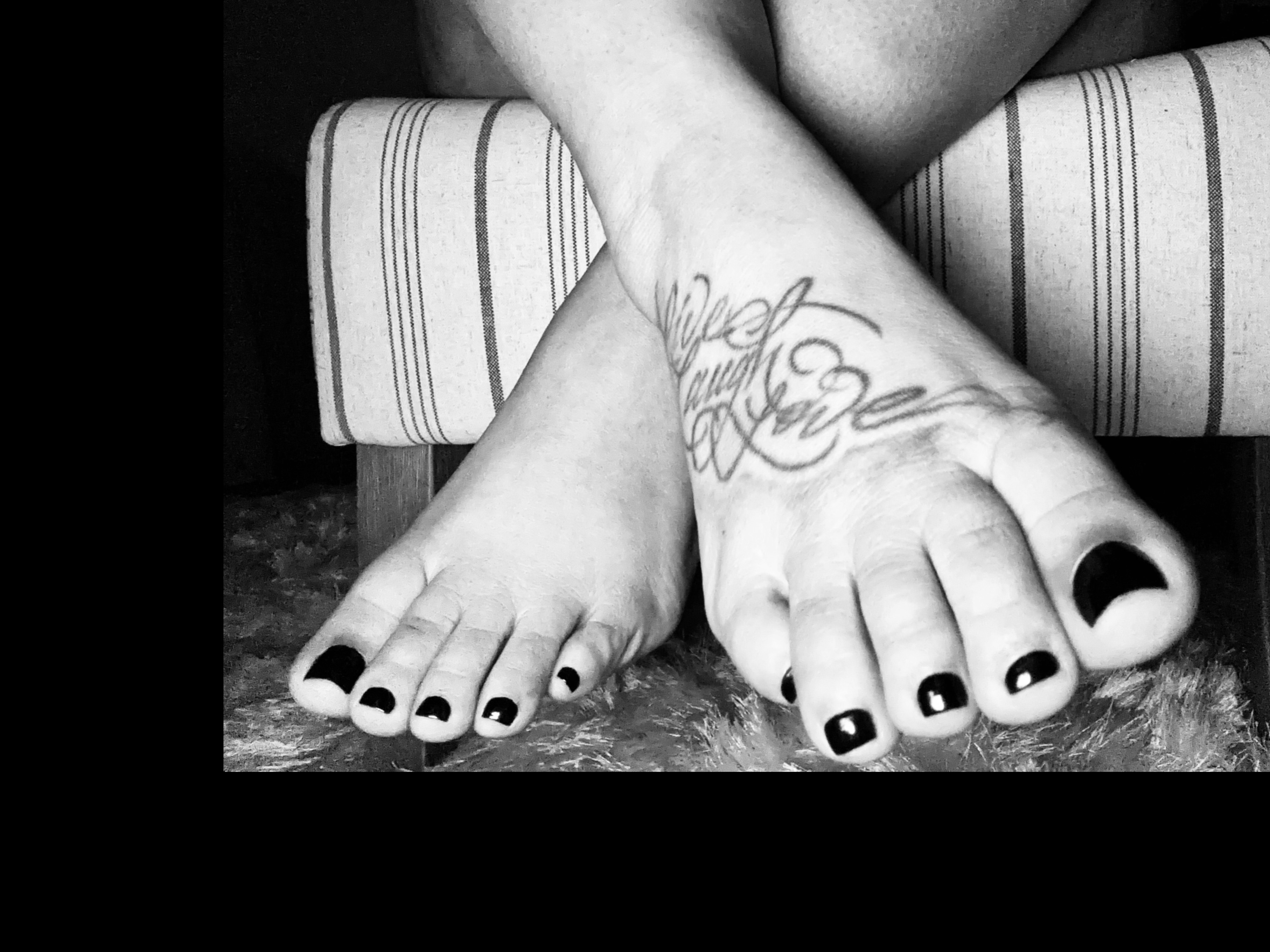Sabor Latina banner image