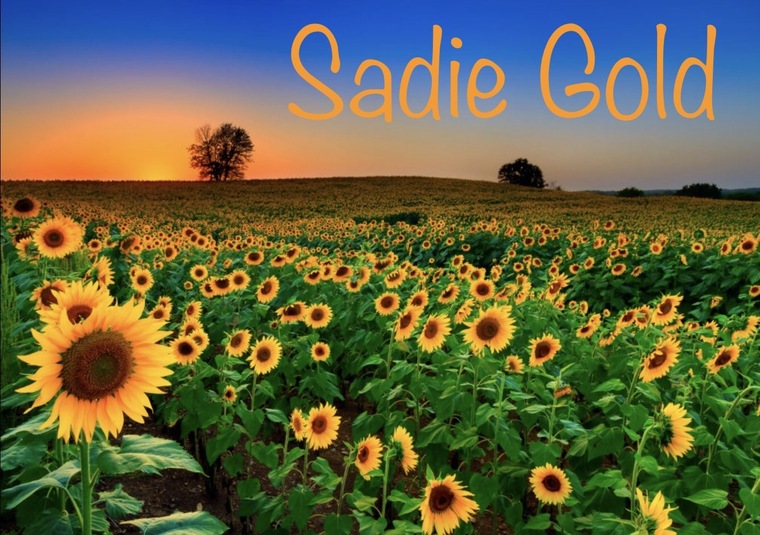 Sadie Gold cover image