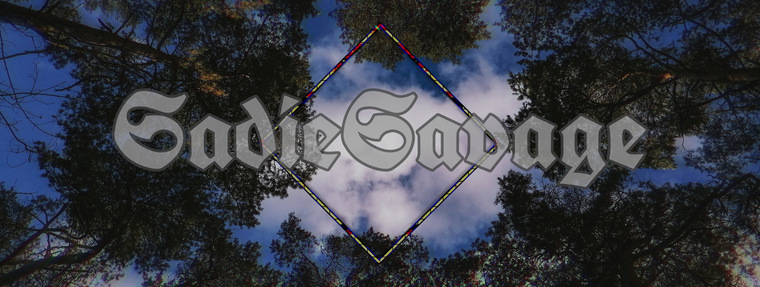 Sadie cover image
