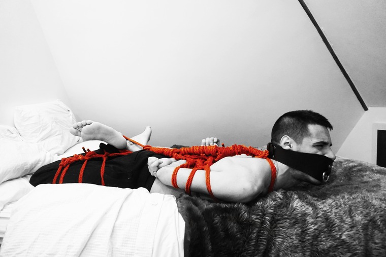 Safe and Bound banner image
