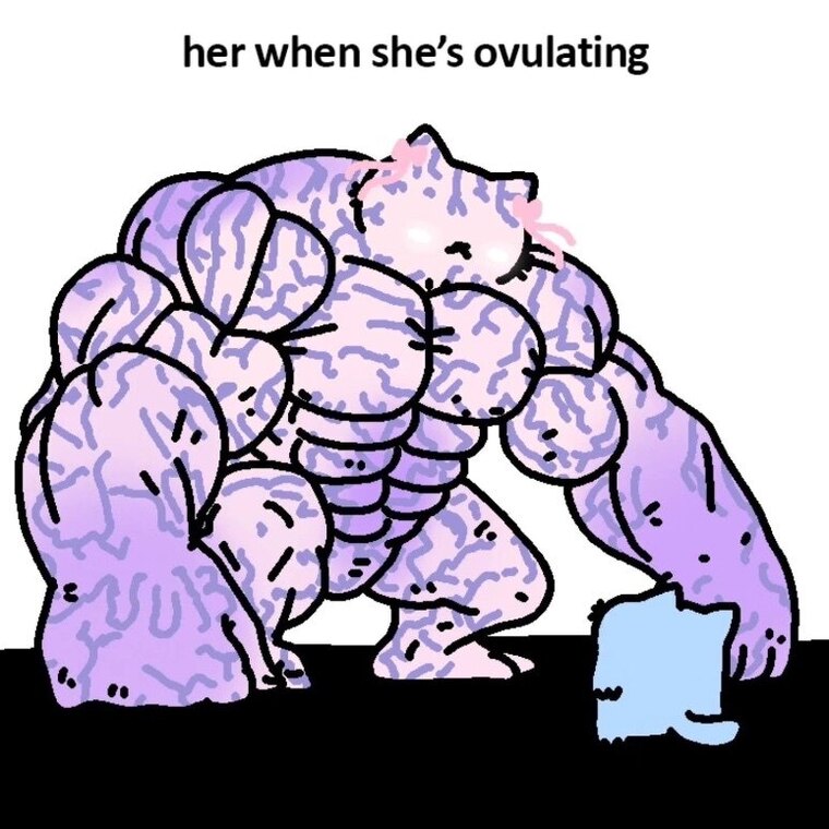 Safe_Hex_With_Sage banner image