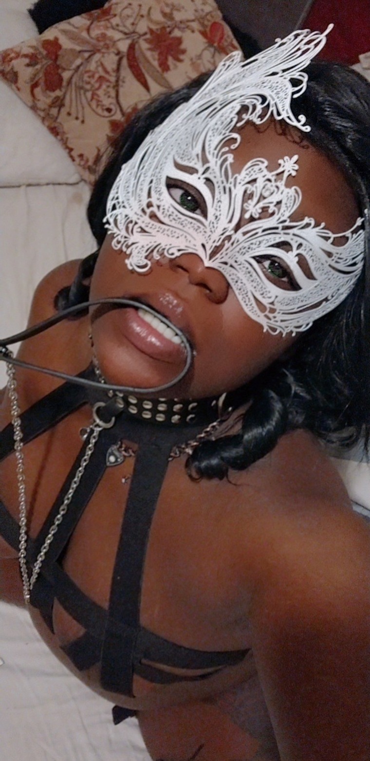 Safire banner image
