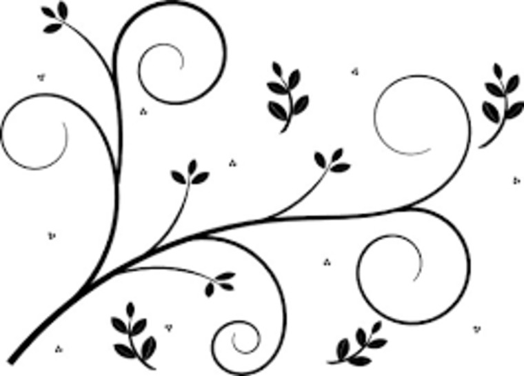Sage cover image