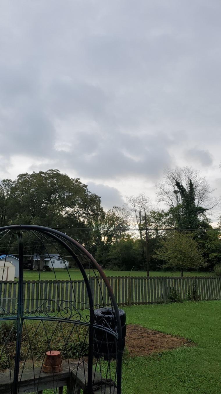 Dharma M. A. Doyle banner image