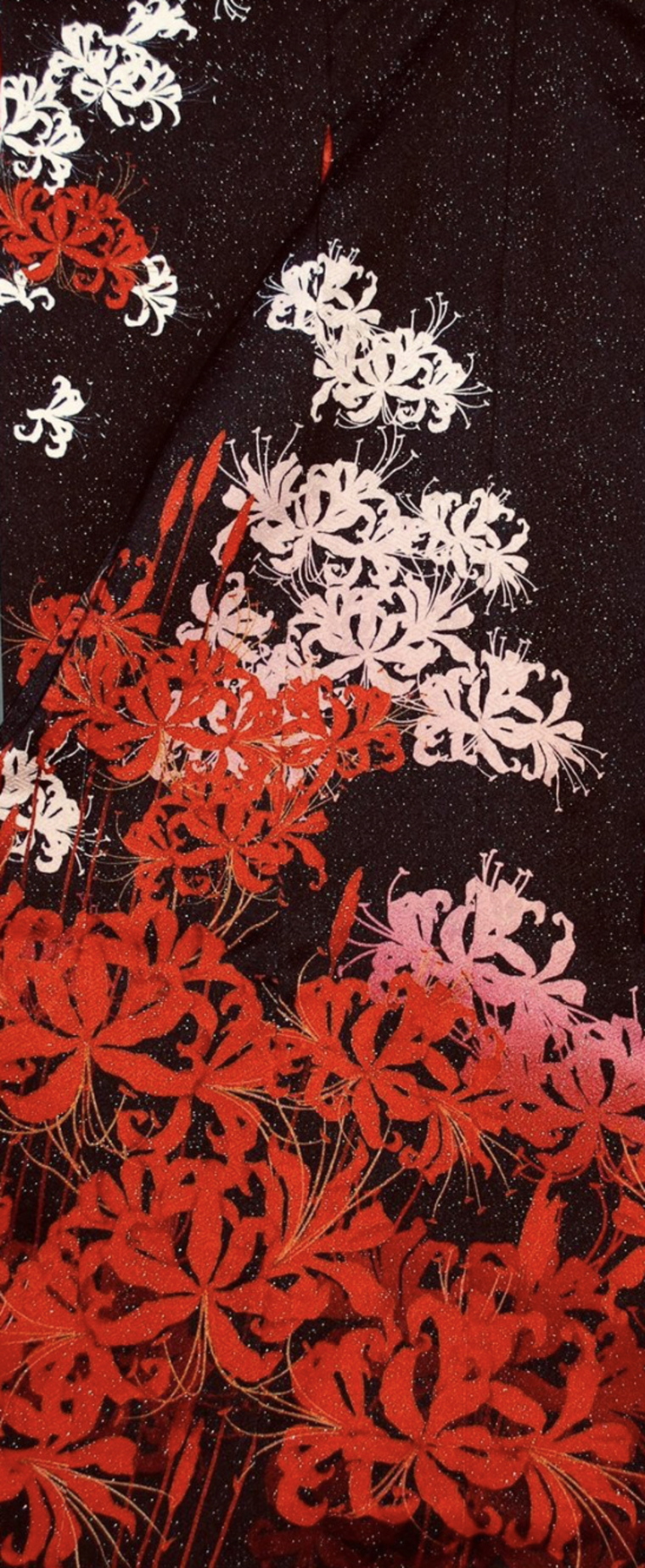 Saiyahime cover image