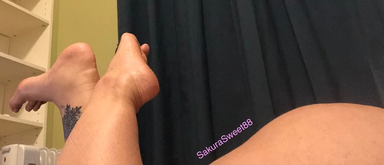 SakuraSweet88 cover image