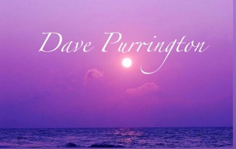 Dave Purrington💋 💙💜🩷 cover image