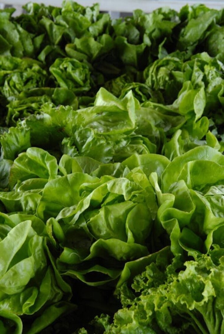 Salad Boy cover image