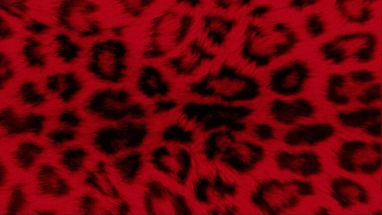 𝔰𝔞𝔩𝔢𝔪 𝔯𝔬𝔱 𐕣 ⋆˙⟡ 🐾 ⋆˚ cover image