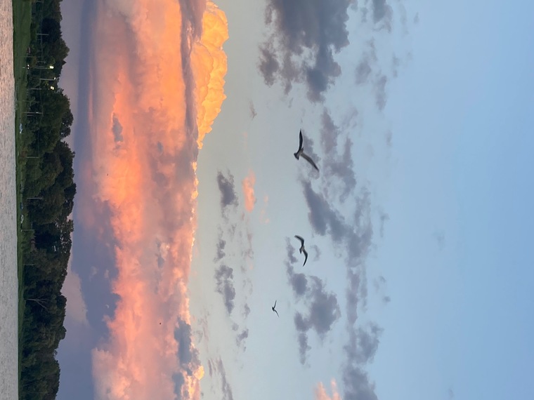 Onlyfeet banner image