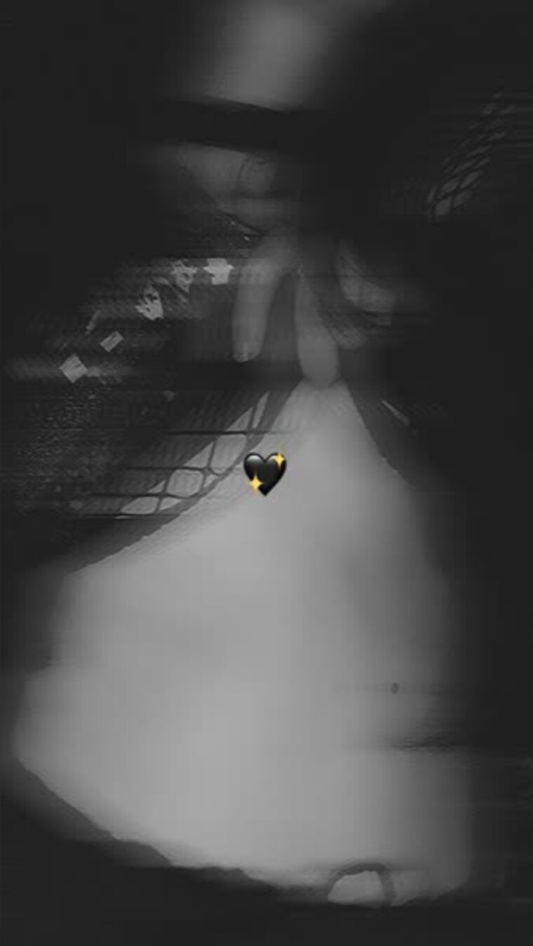 Saltie cover image
