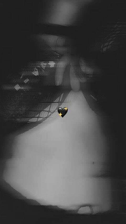 Saltie cover image