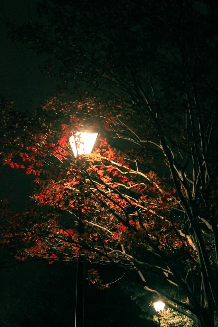 Cassilyn cover image