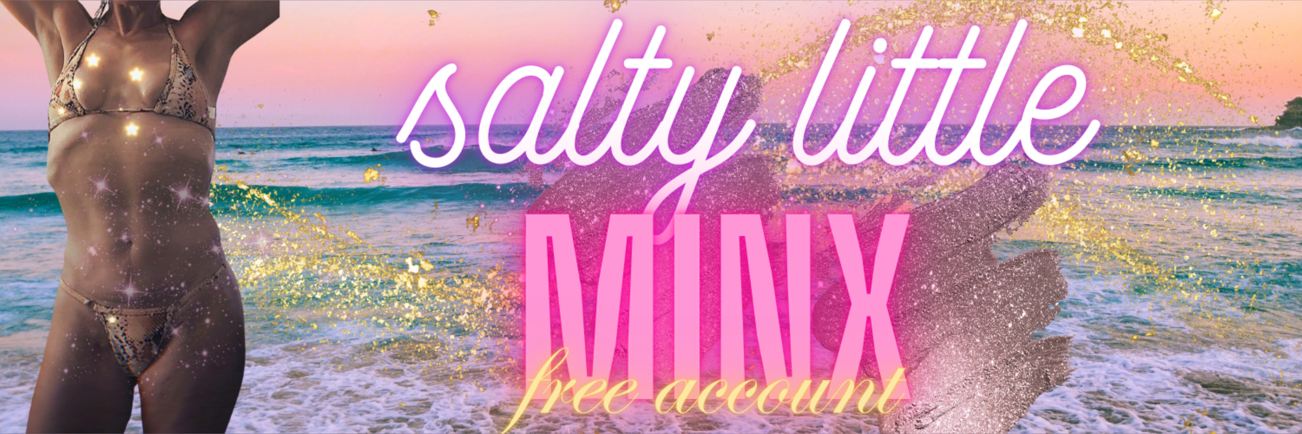 salty little minx banner image