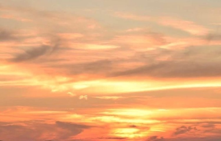 Samara banner image