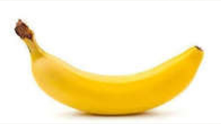 Sam Spruce banner image