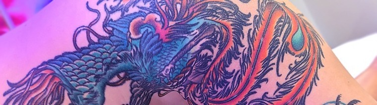 Sammie Phoenix cover image