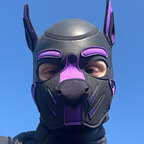 puppy.sammy avatar